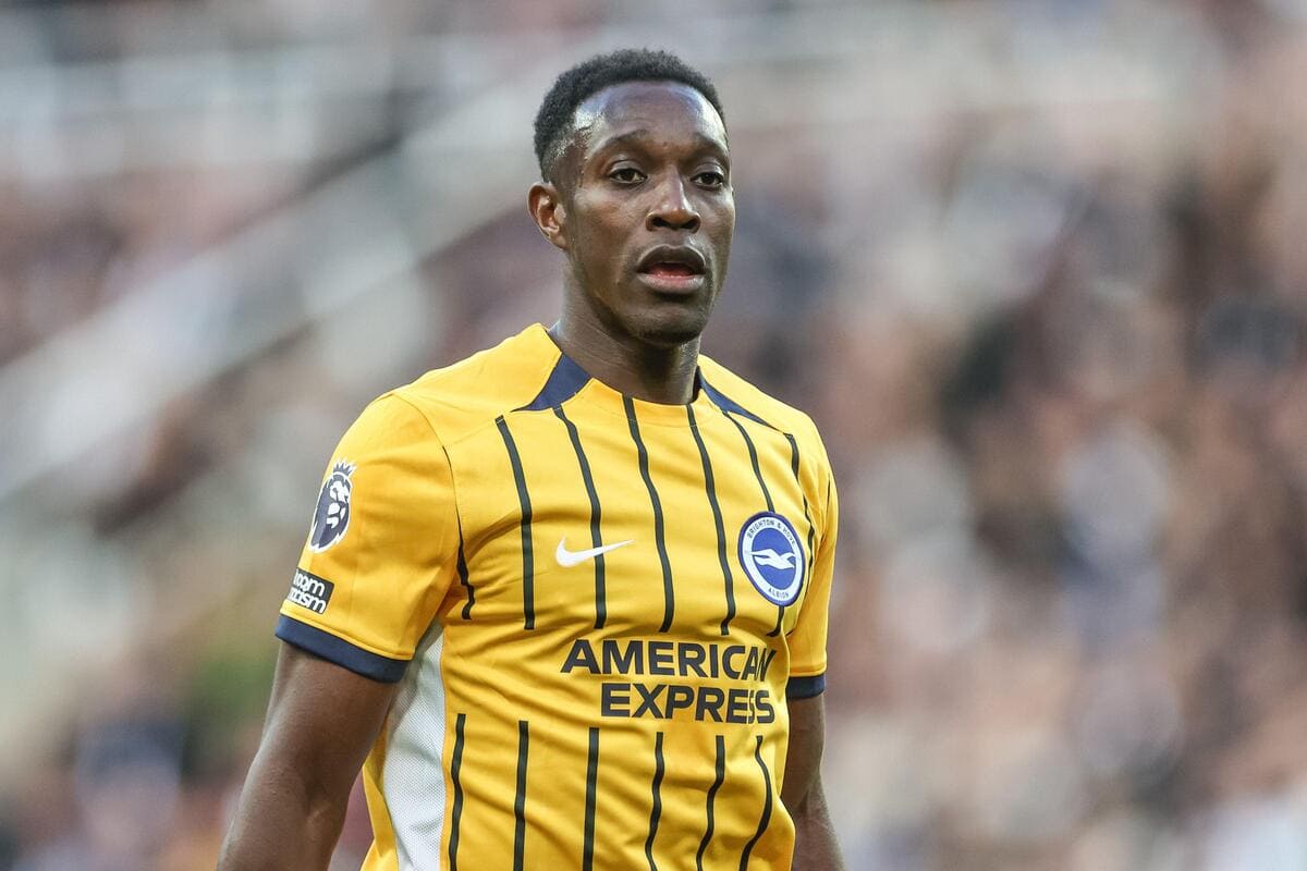 Brighton v Wolves: i gabbiani aspettano Welbeck